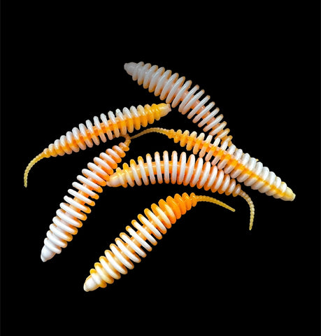 Crazy Lamellen Wurm <br/>Weiß / Orange / Weiß